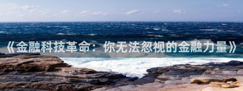 书旗logo：《金融科技革命：你无法忽视的金融力量》